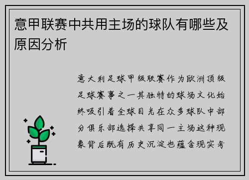 意甲联赛中共用主场的球队有哪些及原因分析